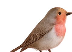The Songbird Bakery robin